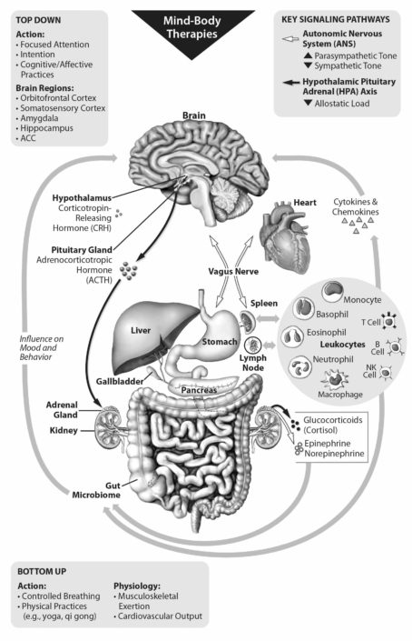 Mind Body Therapies Illustration of mood on body and behavior