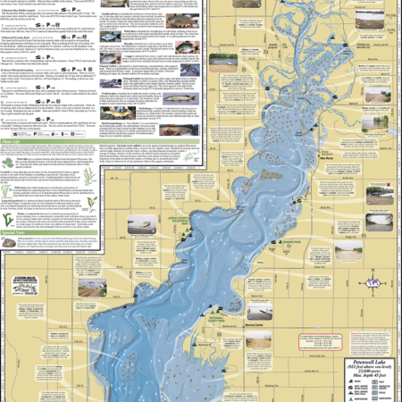 Petenwell Lake & Castle Rock Lake Fold Map