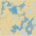Eagle River Chain Wall Map